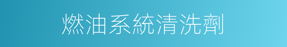 燃油系統清洗劑的同義詞