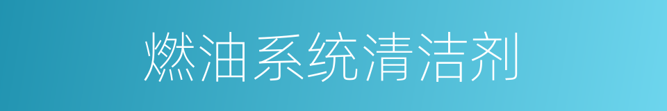 燃油系统清洁剂的同义词