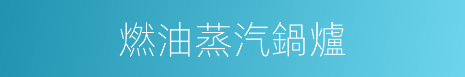 燃油蒸汽鍋爐的同義詞