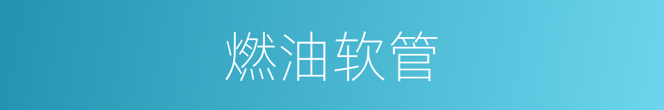 燃油软管的同义词