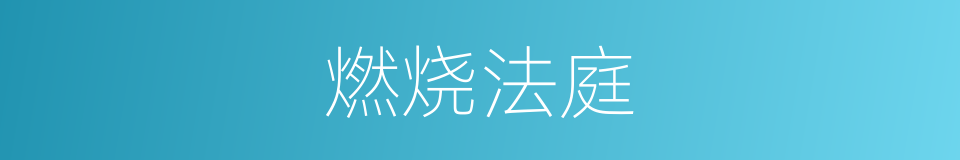 燃烧法庭的同义词