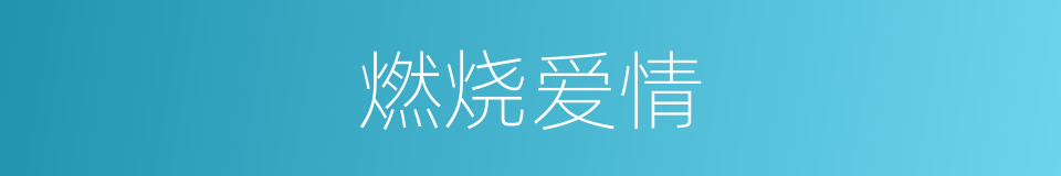 燃烧爱情的同义词