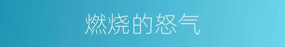 燃烧的怒气的同义词
