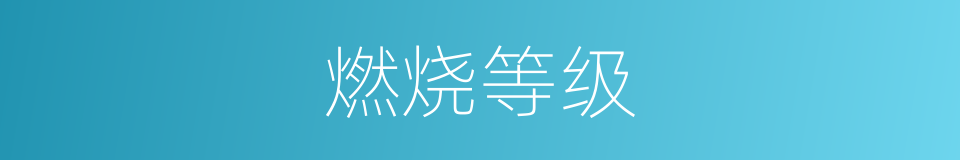 燃烧等级的同义词