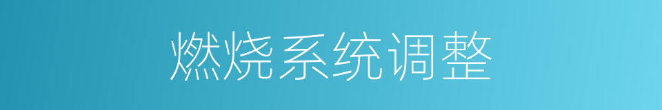 燃烧系统调整的同义词