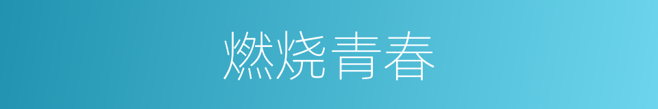 燃烧青春的同义词