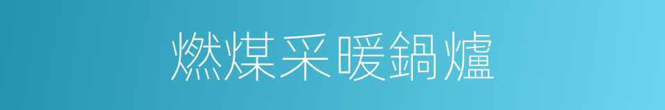 燃煤采暖鍋爐的同義詞