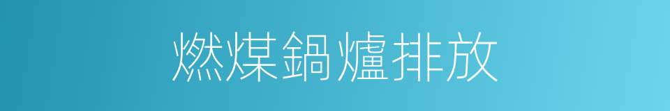 燃煤鍋爐排放的同義詞