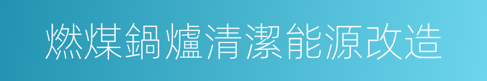 燃煤鍋爐清潔能源改造的同義詞