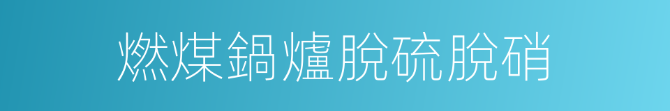 燃煤鍋爐脫硫脫硝的同義詞