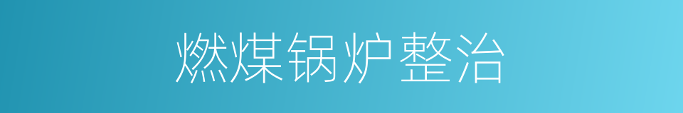 燃煤锅炉整治的同义词