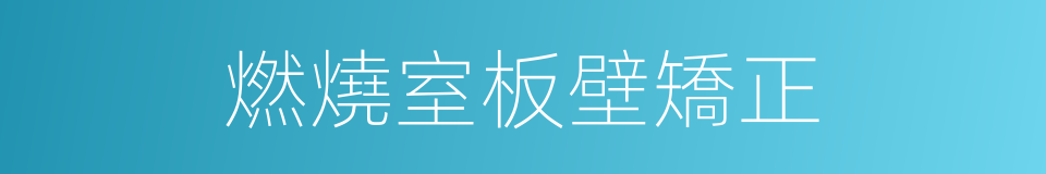 燃燒室板壁矯正的同義詞