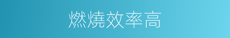 燃燒效率高的同義詞
