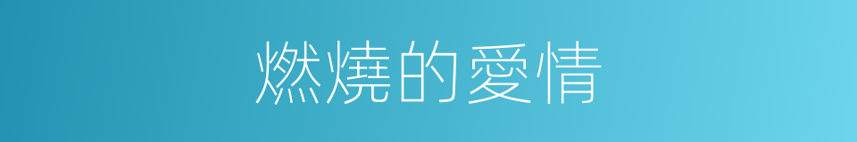 燃燒的愛情的同義詞