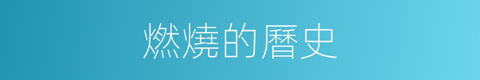 燃燒的曆史的同義詞