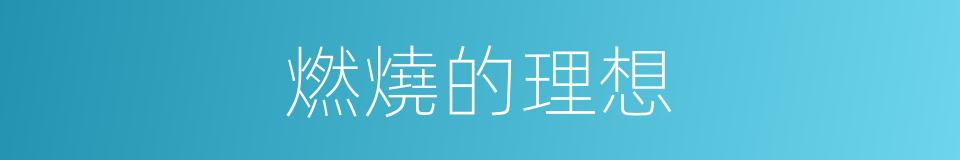 燃燒的理想的同義詞