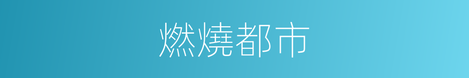 燃燒都市的同義詞
