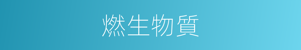 燃生物質的同義詞