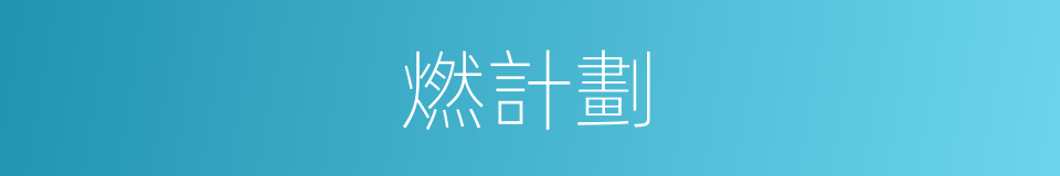燃計劃的同義詞