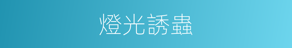 燈光誘蟲的同義詞