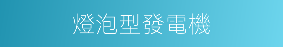 燈泡型發電機的同義詞