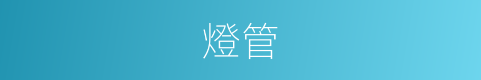 燈管的意思
