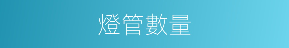 燈管數量的同義詞
