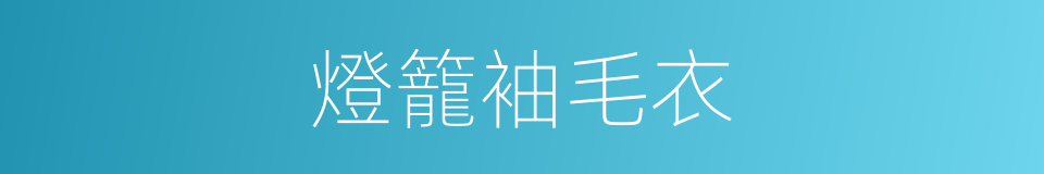 燈籠袖毛衣的同義詞
