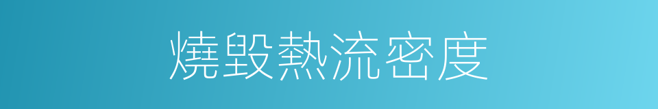燒毀熱流密度的同義詞