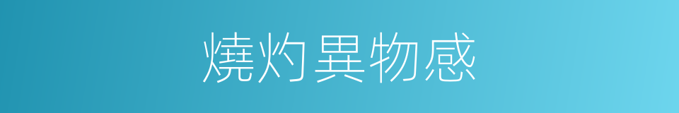 燒灼異物感的同義詞