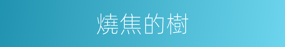 燒焦的樹的同義詞