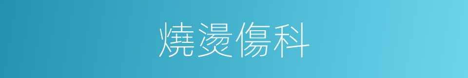 燒燙傷科的同義詞