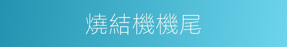 燒結機機尾的同義詞