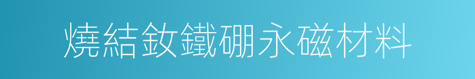 燒結釹鐵硼永磁材料的同義詞