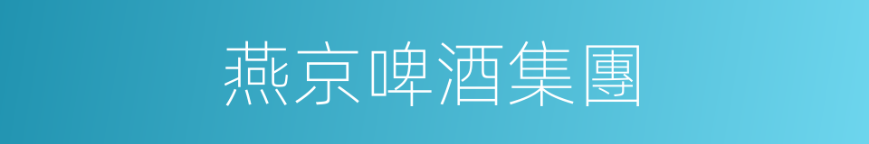 燕京啤酒集團的同義詞