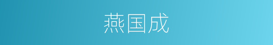 燕国成的同义词