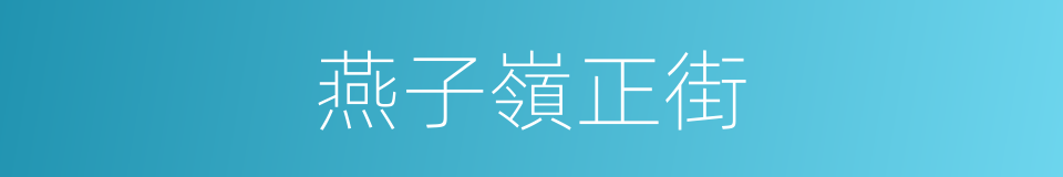 燕子嶺正街的同義詞