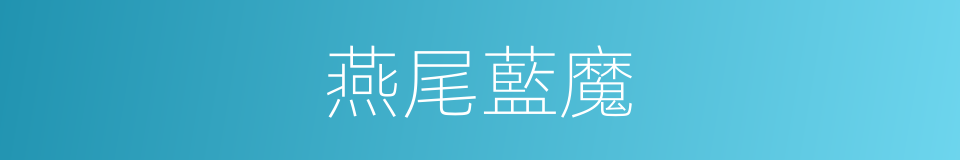 燕尾藍魔的同義詞