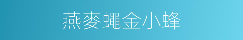 燕麥蠅金小蜂的同義詞