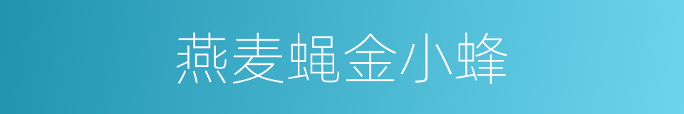 燕麦蝇金小蜂的同义词