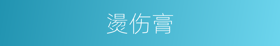 燙伤膏的同義詞