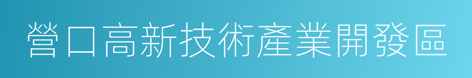 營口高新技術產業開發區的同義詞