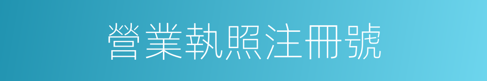 營業執照注冊號的同義詞