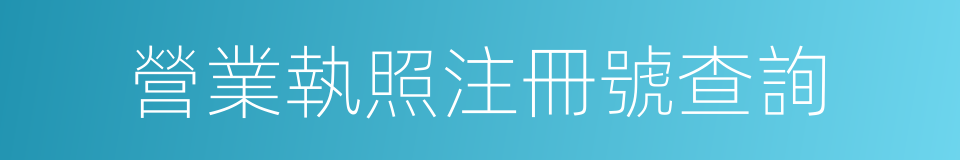 營業執照注冊號查詢的同義詞