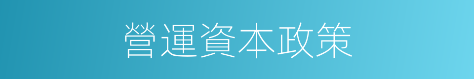營運資本政策的同義詞