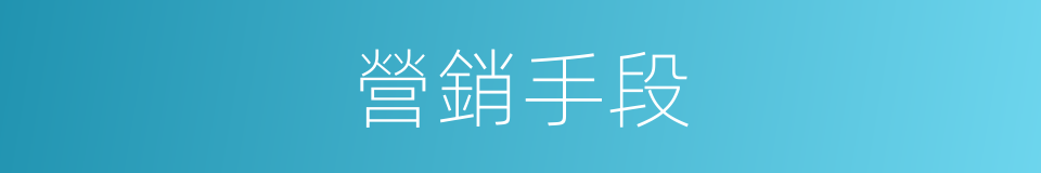 營銷手段的同義詞