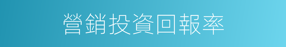營銷投資回報率的同義詞