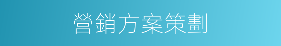 營銷方案策劃的同義詞