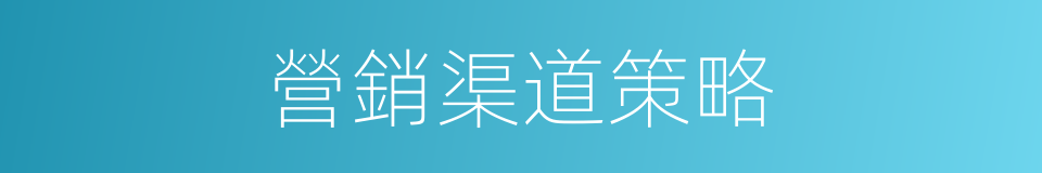 營銷渠道策略的同義詞