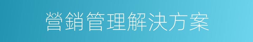 營銷管理解決方案的同義詞